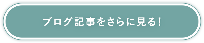 ブログ記事をさらに見る！